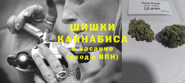 трава Алзамай