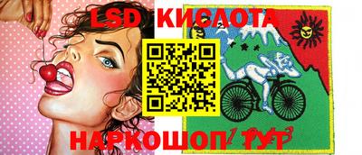 молекула духа Донской