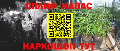 jwh Дубна