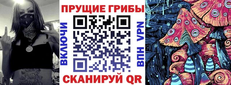 Псилоцибиновые грибы мицелий  цены   Томск 